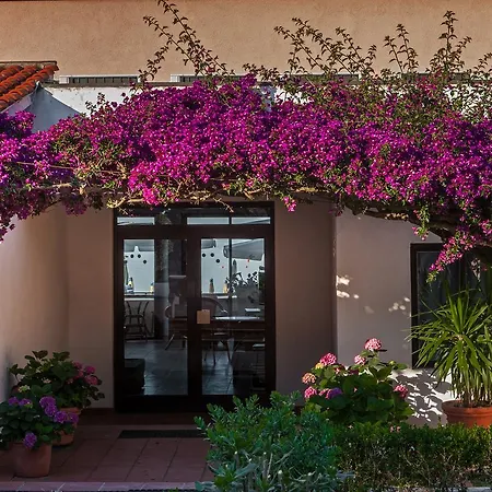 Lejlighedshotel Drago 3*